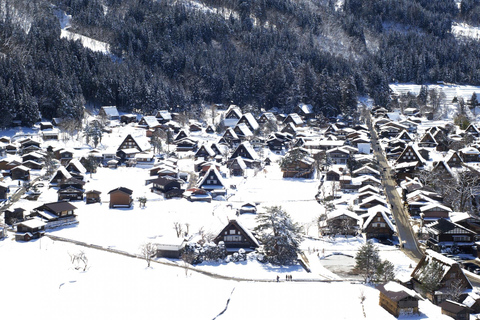 Nagoya: Takayama &amp; Shirakawa-go Day Trip w/ Hida Pork LunchNagoya: escursione di un giorno a Takayama e Shirakawa-go con pranzo a base di maiale di Hida