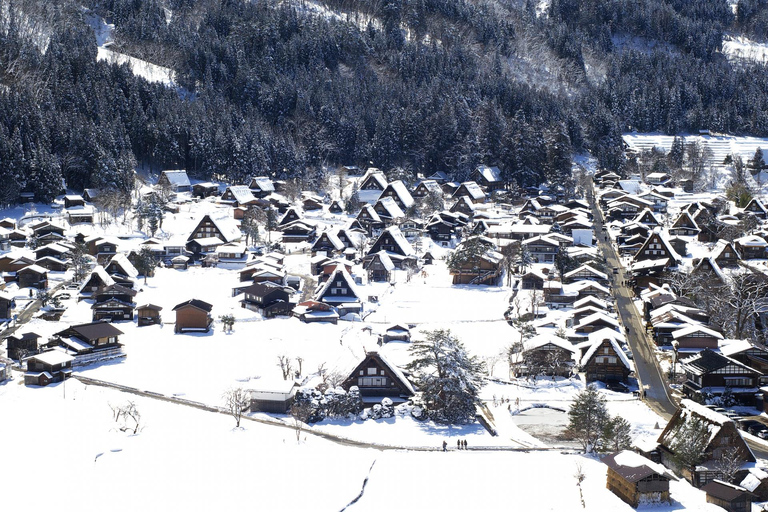 Nagoya: Takayama &amp; Shirakawa-go Day Trip w/ Hida Pork LunchNagoya: escursione di un giorno a Takayama e Shirakawa-go con pranzo a base di maiale di Hida