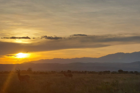 Ouganda : 3 jours de safari dans le parc national Queen Elizabeth