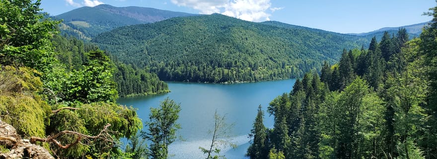 Depuis Cluj : Vélo de montagne autour du lac Dragan