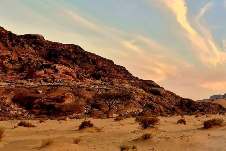 Wadi Rum: Authentic Bedouin Life & Culture Experience