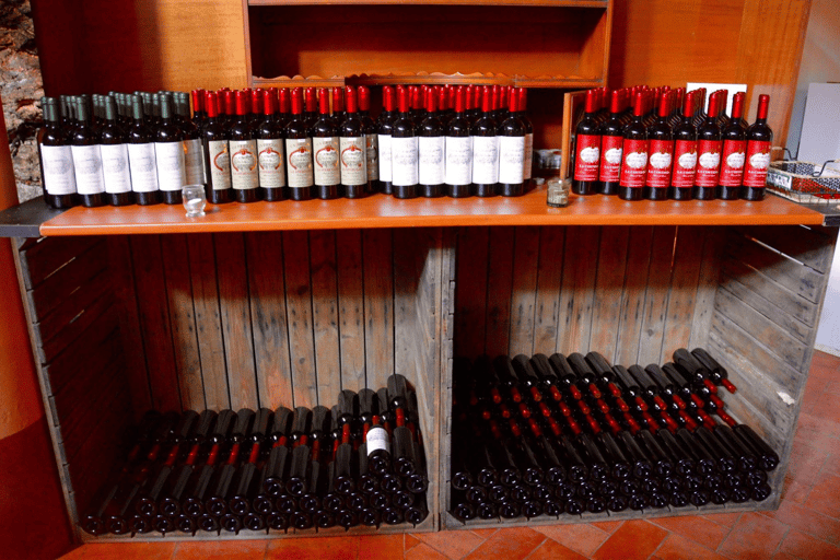 Vineyard Walk & Wine Tasting in the Berici Hills of Vicenza