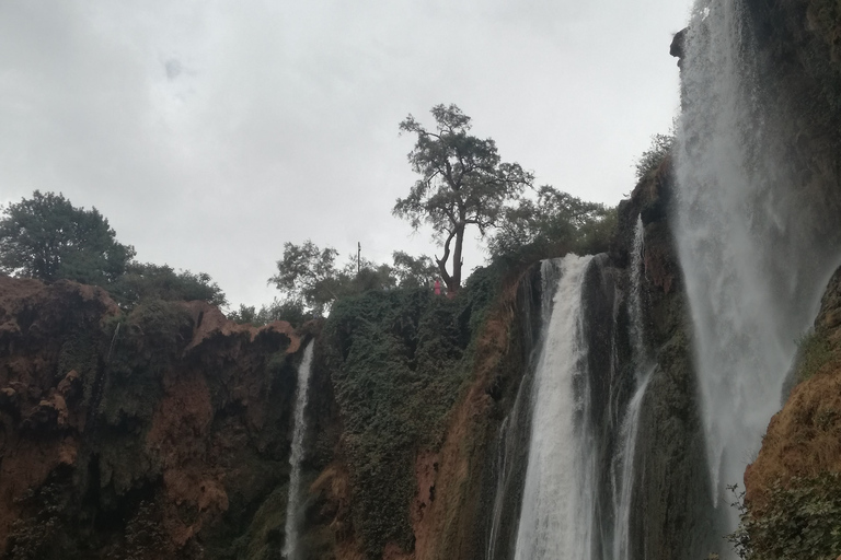 From Marrakech: Full-Day Trip to Ouzoud Waterfalls