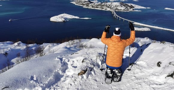 From Sommarøy: Snowshoe Hike with a Local Guide and a Snack