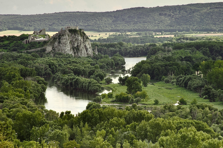 Vienna: Guided Bratislava & Devín Castle Tour via Hainburg Private Tour Ticket