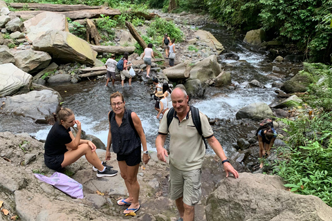 Lombok : Excursion d&#039;une journée aux chutes d&#039;eau de Sendang Gile et Tiu Kelep