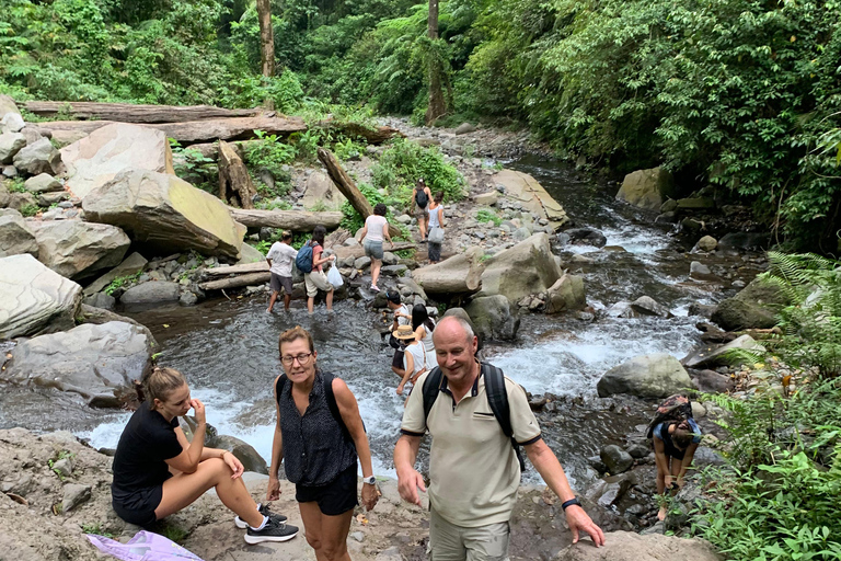 Lombok : Excursion d&#039;une journée aux chutes d&#039;eau de Sendang Gile et Tiu Kelep