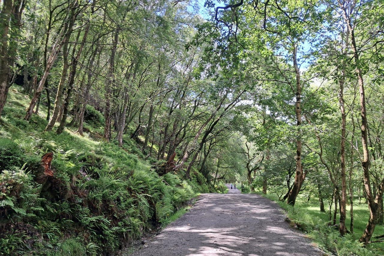 From Dublin: Wicklow Mountains & Glendalough Guided Tour