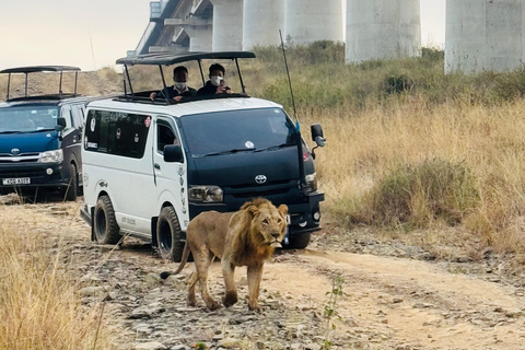 Nairobi Park Safari, Sheldrick's Orphanage & Giraffe Center Shared Drive in Open-Roof Van Game Drive