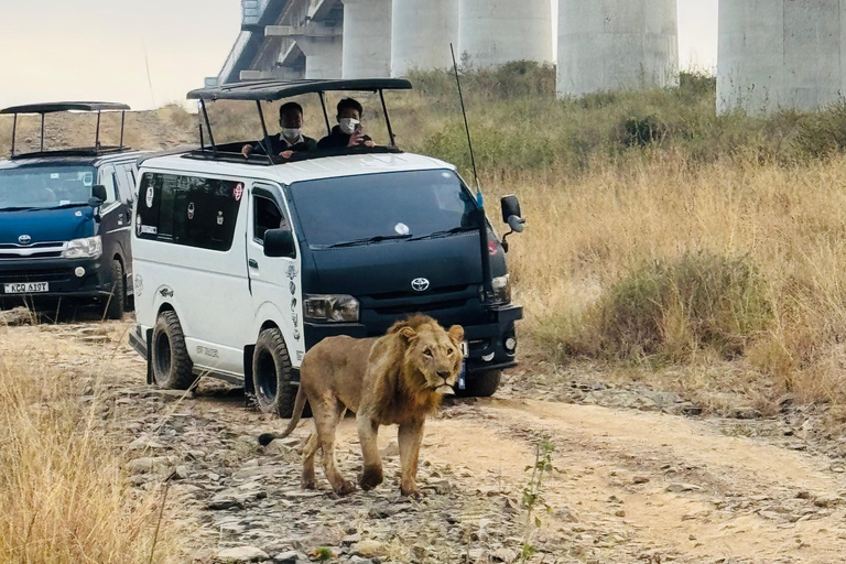 Nairobi Park Safari, Sheldrick's Orphanage & Giraffe Center Shared Drive in Open-Roof Van Game Drive