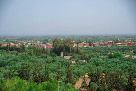 Marraquexe: Cascatas de Ourika, Montanhas Atlas, Guia + AlmoçoMarraquexe: Vale de Ourika com almoço + guia (recomendado)
