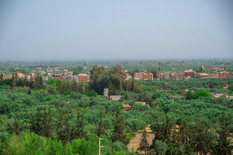 Marraquexe: Cascatas de Ourika, Montanhas Atlas, Guia + AlmoçoMarraquexe: Vale de Ourika com almoço + guia (recomendado)