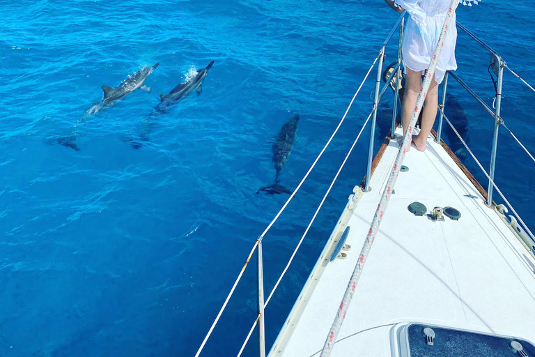 Oahu : Waikiki sailing turtle snorkeling in small groups Oahu : Waikiki sailing turtle snorkeling