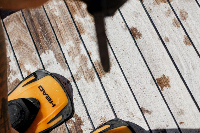 Dia: Day & Sunset Cruise with Menu by Greece's Top 100 Chef