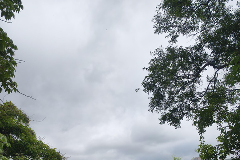 From Bengaluru: Devarayana Durga Guided Day Trip