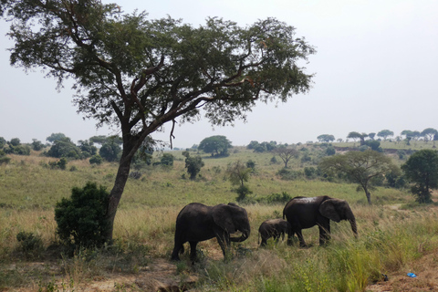 Ab Kigali: 2-tägige Akagera-Nationalpark-Safari mit Boot