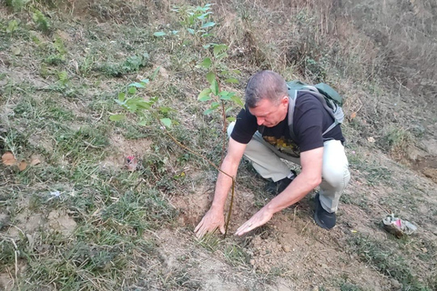 Kathmandu:7 Unesco Touren, Wanderungen, Sonnenaufgang &amp; mehr - Alles in 1Kathmandu: Wanderung Jamacho