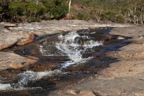 Cairns: Half-Day Premium 4WD Rainforest & Waterfall Tour Half Day Tour