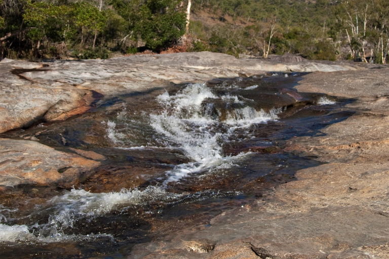 Cairns: Half-Day Premium 4WD Rainforest & Waterfall Tour Half Day Tour