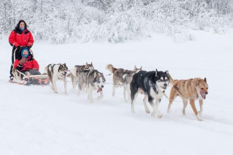 From Rovaniemi: 2-Day Private Lapland Tour with Santa & Zoo