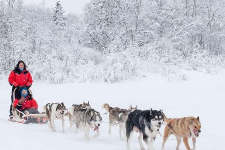 From Rovaniemi: 2-Day Private Lapland Tour with Santa & Zoo