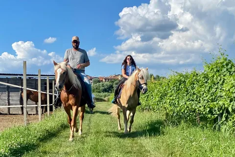 Lazise: Horseback Riding and Farm Picnic local food