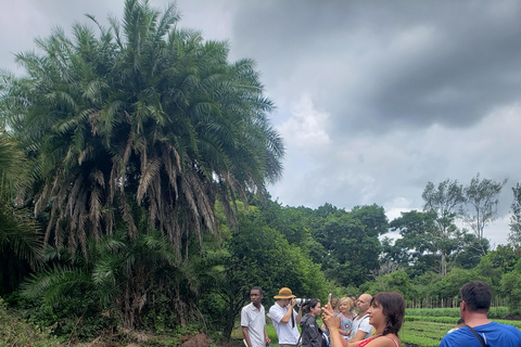 Sansibar: Jozani Forest und Sea Turtle Sanctuary Tour