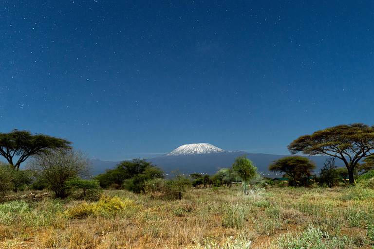 Nairobi: 5-tägige Besteigung des Mount Kenya mit Gipfelversuch