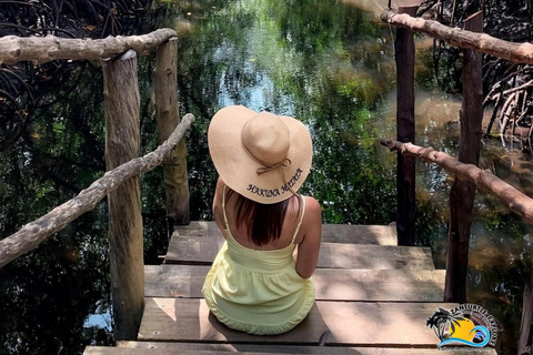 Wycieczka z delfinami Mnemba, las Jozani i restauracja The RockMiejsce zbiórki wyłącznie w Mnemba Transfer Point