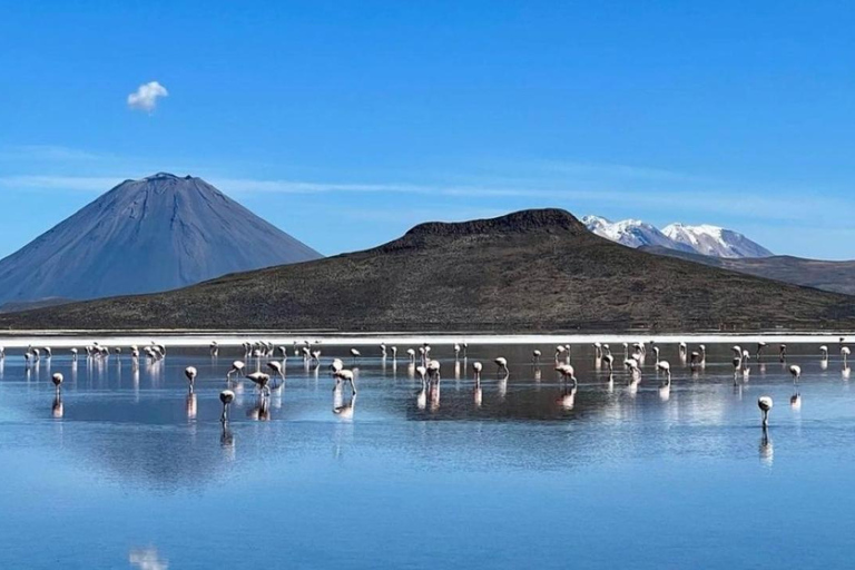 Giornata intera | Laguna di Salinas | Arequipa