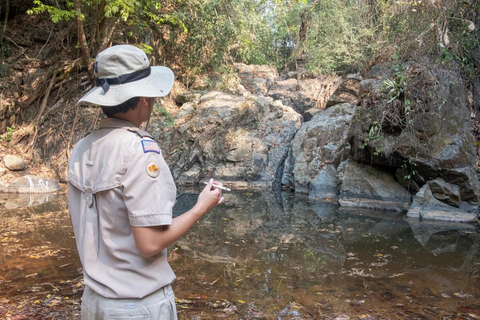 New Delhi: Jim Corbett National Park Safari (Tiger) Spotting Shared Jeep Safari: Jim Corbett National Park