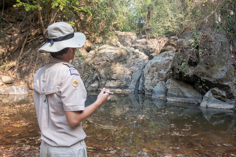 New Delhi: Jim Corbett National Park Safari (Tiger) Spotting Shared Jeep Safari: Jim Corbett National Park