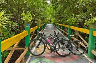 Bangkok: Radtour mit Meerblick durch den Mangroven-Tunnel