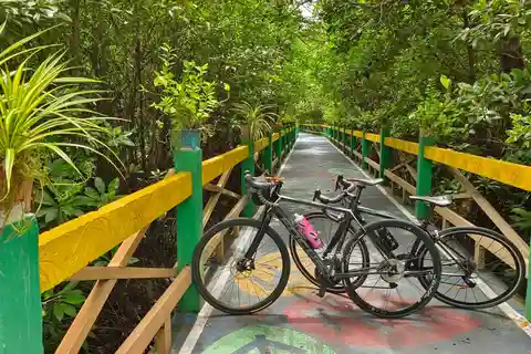 Bangkok: passeio de bicicleta com vista para o mar pelo túnel de manguezais