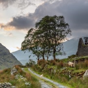 Killarney: The Ring of the Reeks - Backroads Rural Tour | GetYourGuide