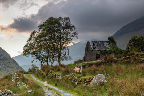 Killarney: The Ring of the Reeks - Backroads Rural Tour Killarney: Ring of the Reeks Photo Tour