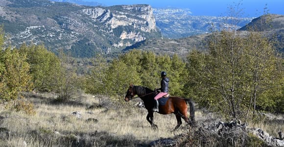 From Nice: Private Scenic Horseback Riding Experience