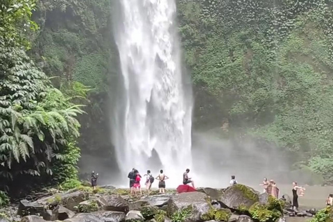 Bali: Ubud Full-Day Cultural and Nature Tour