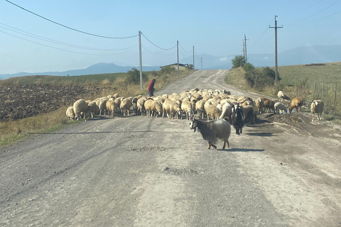 Yerevan: Private Medieval Citadels Tour with Guide