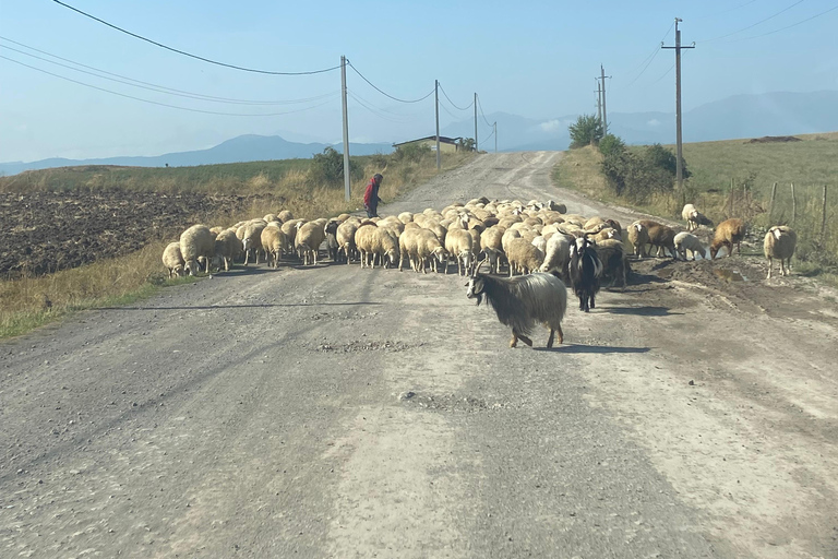 Yerevan: Private Medieval Citadels Tour with Guide