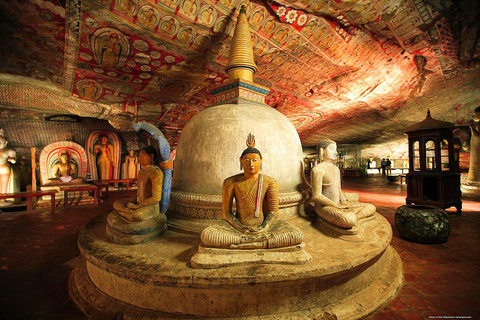 Sigiriya & Dambulla Private Day Tour All Inclusive Pick up from Kalutara, Aluthgama, Bentota, Ahungalla