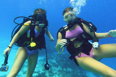 Fethiye: Full-Day Scuba Diving Adventure with Lunch