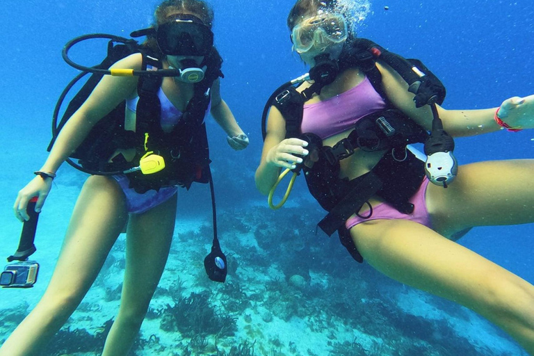 Fethiye: Full-Day Scuba Diving Adventure with Lunch