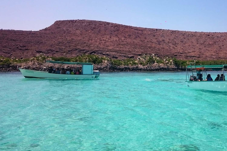 From La Paz: Espíritu Santo Island Tour all inclusive From La Paz: Espíritu Santo Island Tour