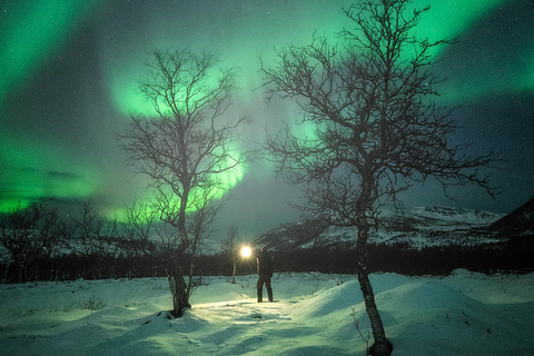 Avventura con l&#039;aurora boreale