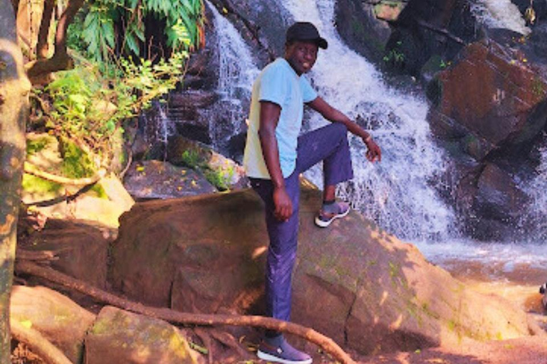 Caminhada pela Floresta Ololua — Cavernas, Cachoeira e Trilhas NaturaisCaminhada pela Floresta Ololua - Cavernas, Cachoeira e Trilhas Naturais