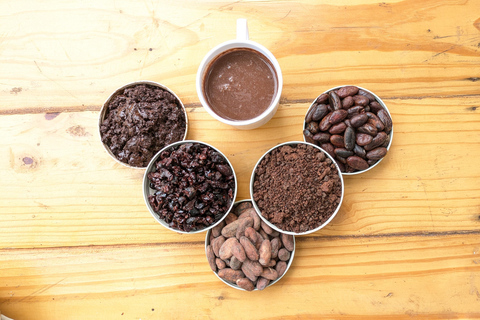 Coffee and Cacao Experience in Minca
