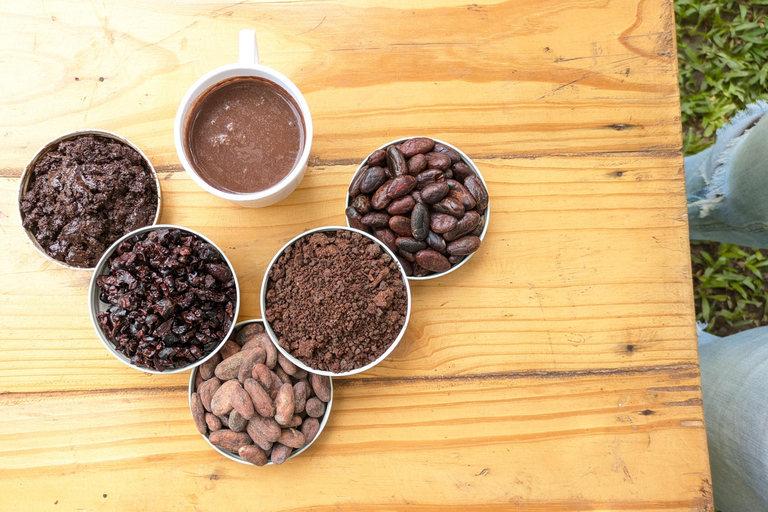 Coffee and Cacao Experience in Minca