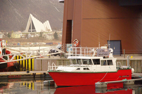 Safari marino a Tromsø