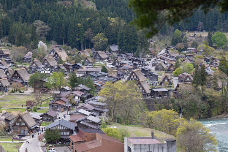 Da Kanazawa/Toyama: Tour di un giorno a Shirakawago e Takayama